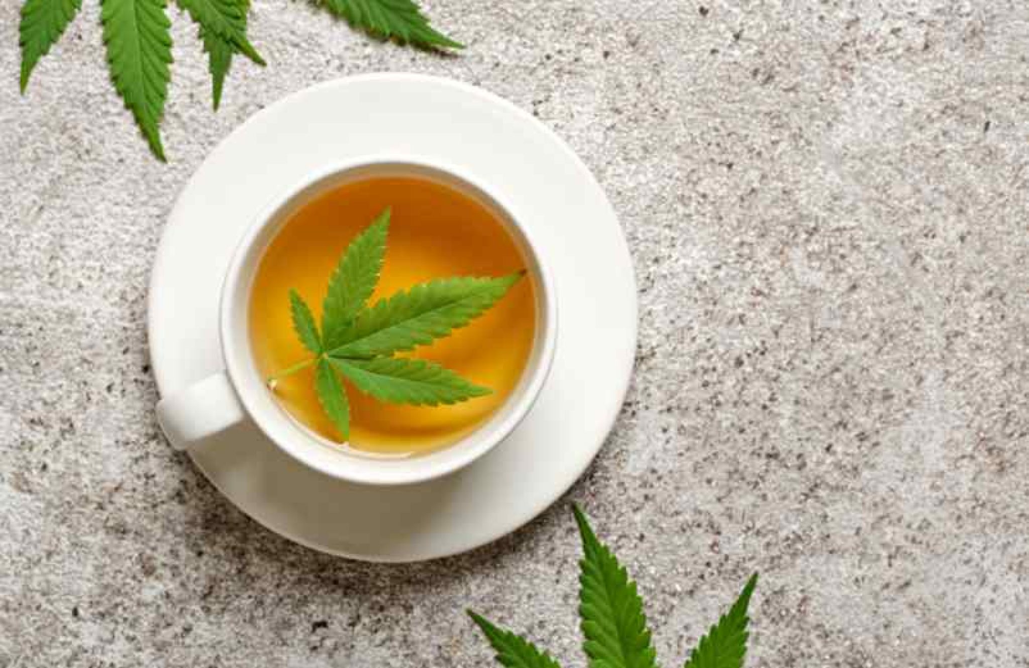 Comment faire une infusion au CBD ? - Pharamond