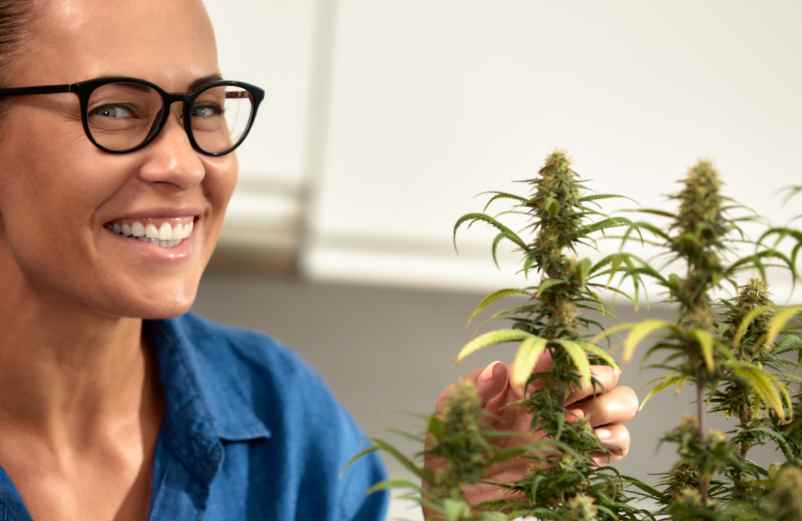 Comment se sent-on après avoir pris du CBD ? Pharamond