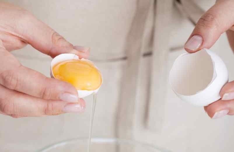 Mayonnaise maison avec des jaunes d’œuf seulement Pharamond Mayonnaise maison avec des jaunes d’œuf seulement Pharamond