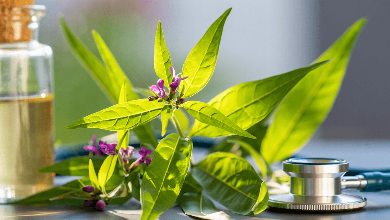 desmodium danger