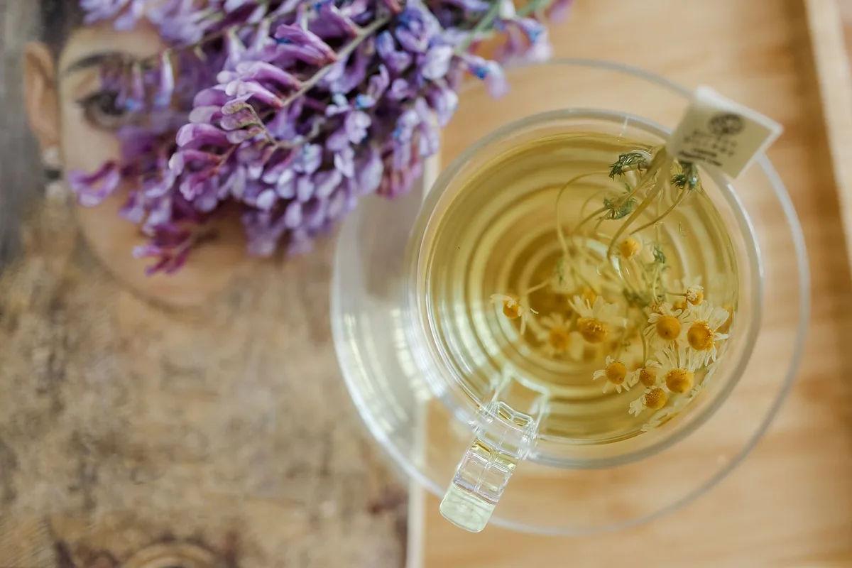 Tasse de tisane avec fleurs de lavande et plantes pour le sommeil