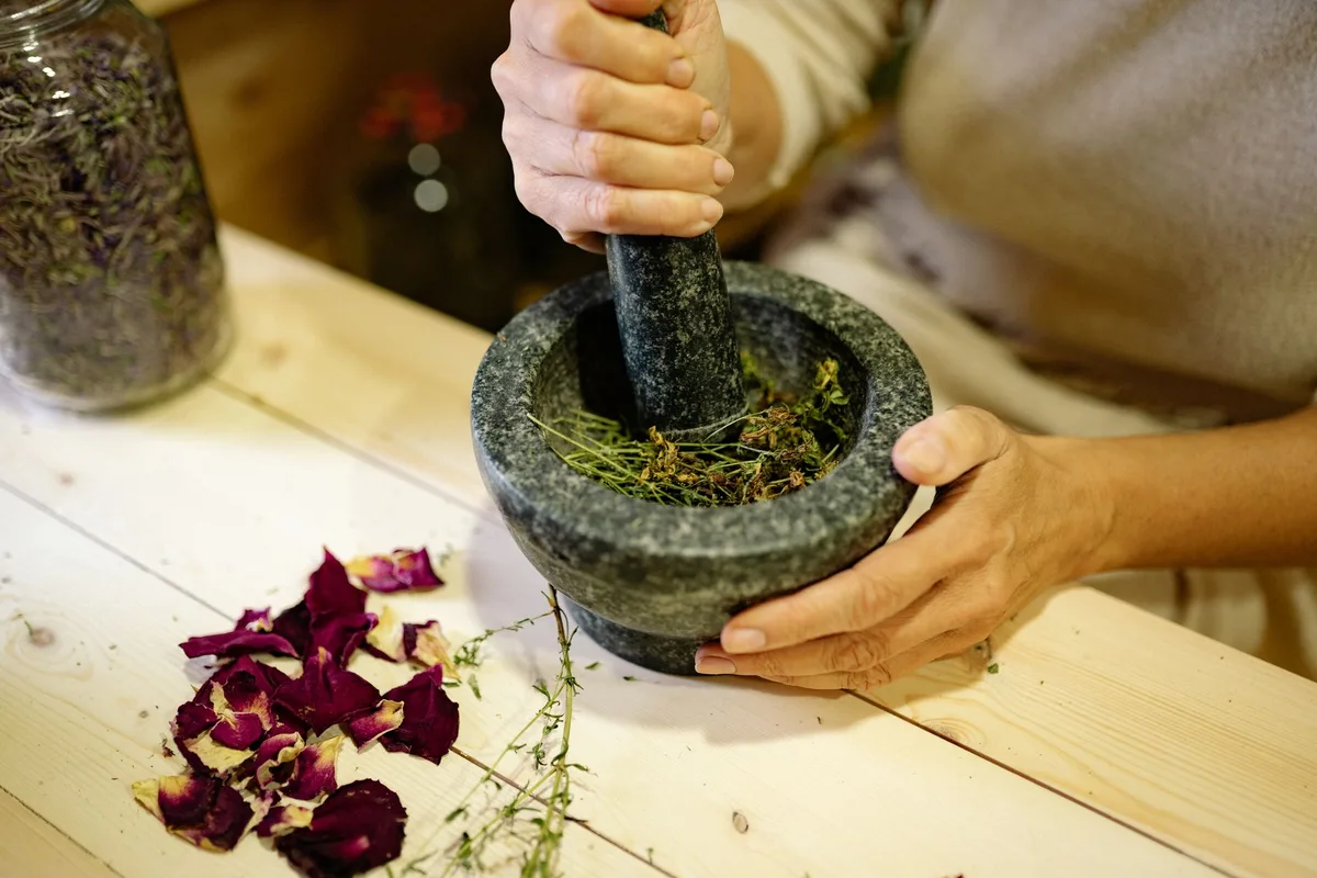 Mains tenant des feuilles de plantes fraîches et séchées avec des pots en verre, éclairage naturel doux