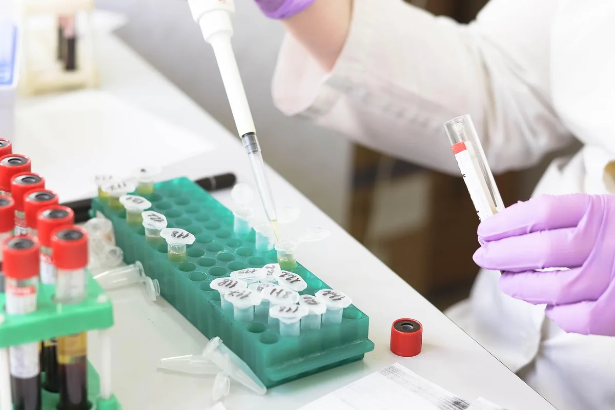 Schéma ou photo en laboratoire illustrant peptides antimicrobiens