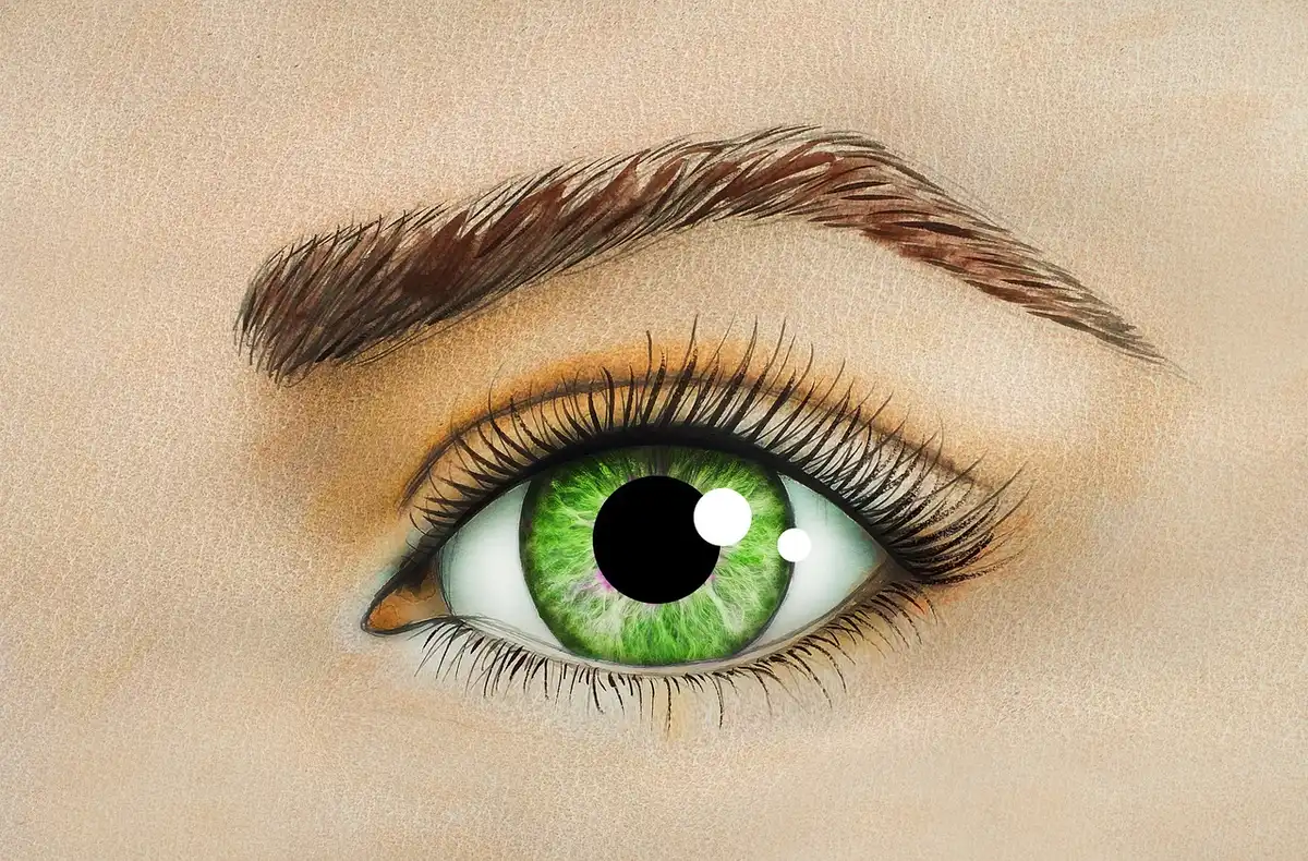 Main brossant les sourcils vers le haut avec un spoolie près d'une fenêtre en journée