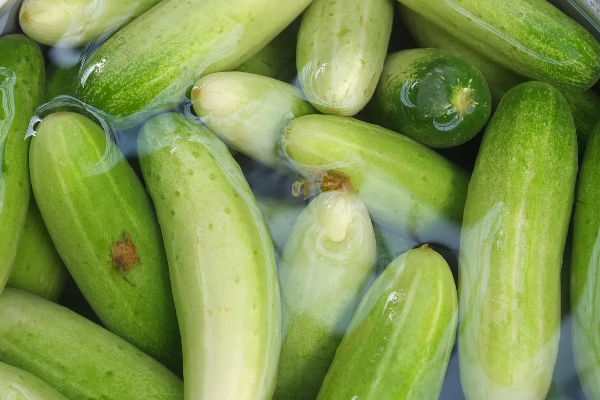 Aliments sains et eau pour gérer les symptômes de cystite interstitielle