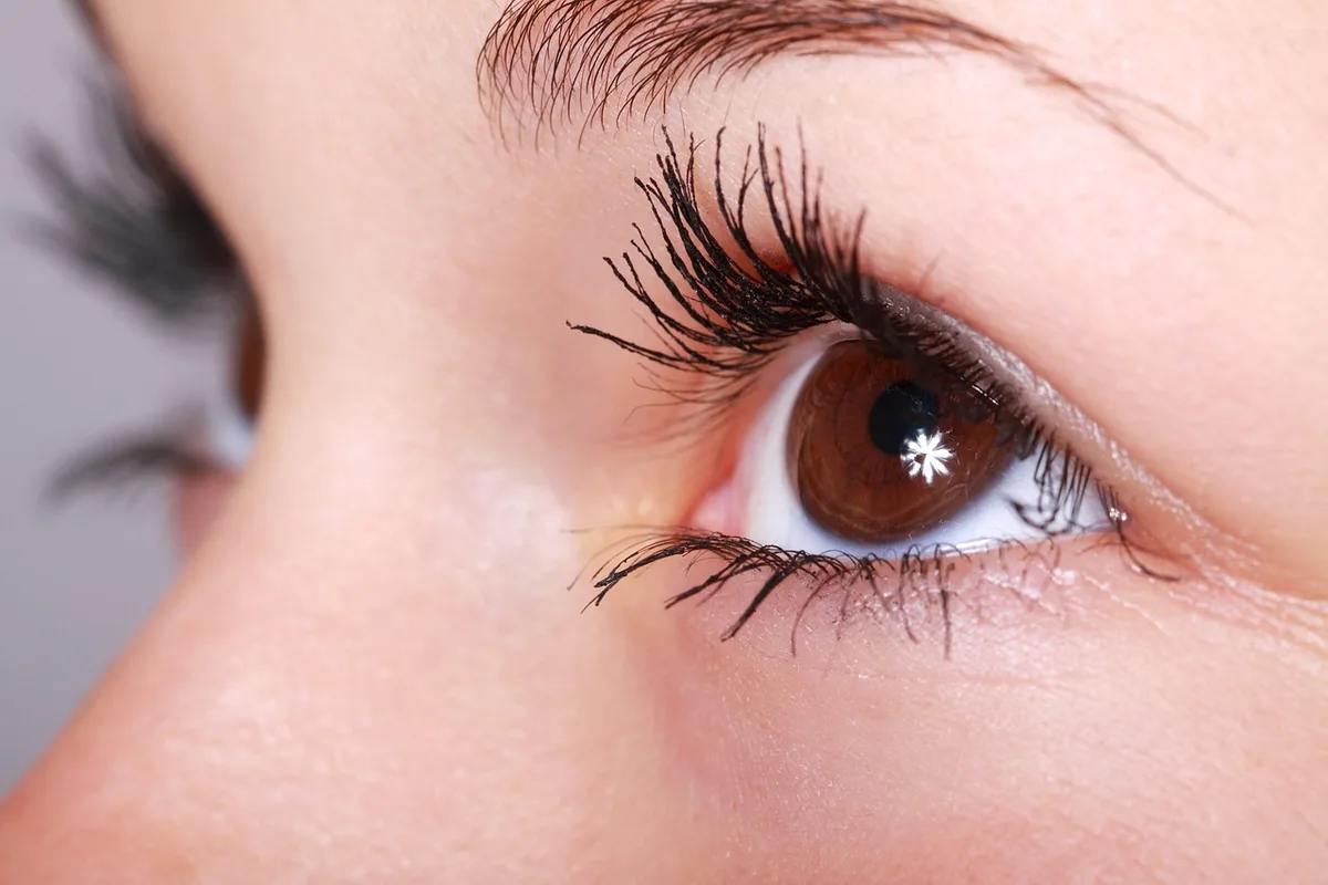 Application de mascara brun sur cils naturels