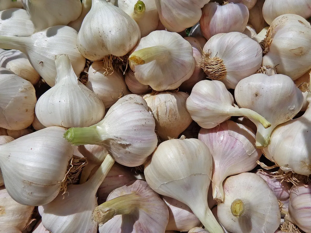 Mains préparant des légumes frais et des céréales complètes sur un plan de travail de cuisine