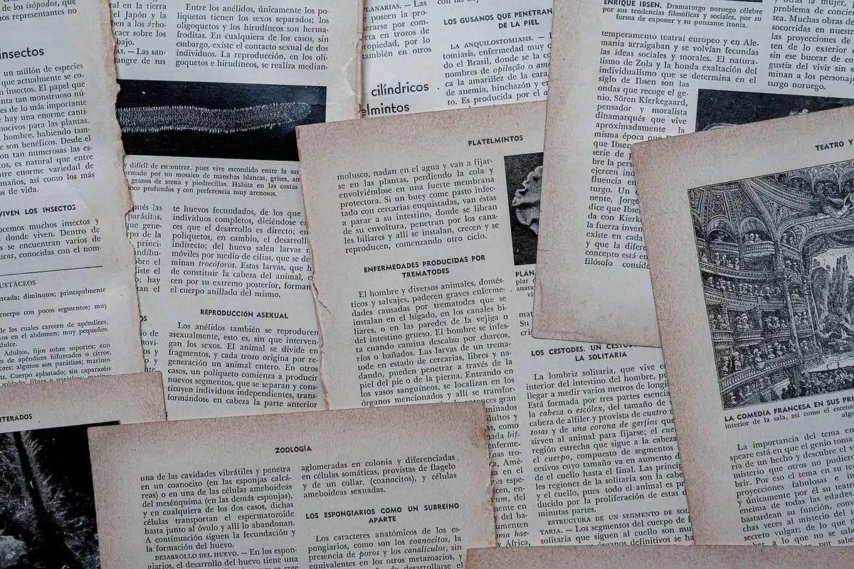 Mains anonymes appliquant une crème sur l'avant-bras près d'une fenêtre en plein jour