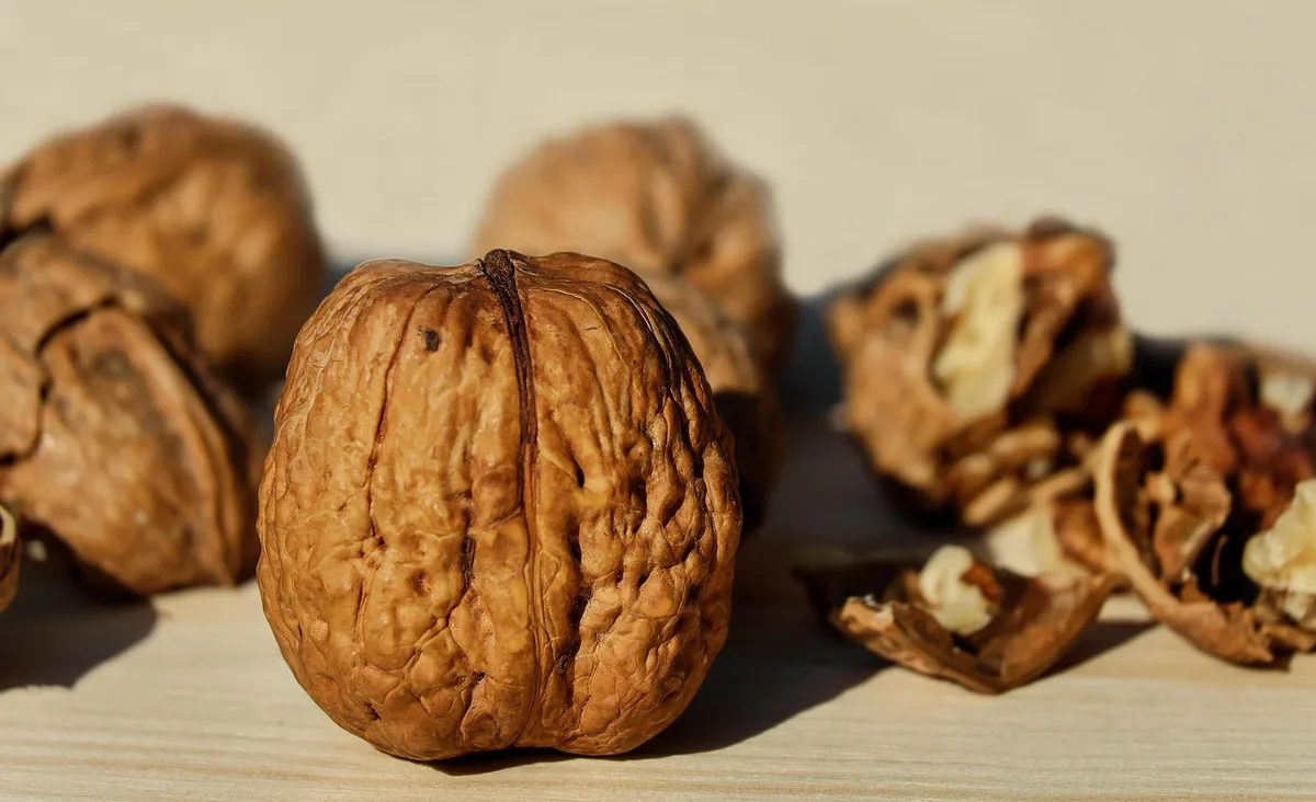 Assiette de petit-déjeuner montrant protéines, glucides complets et fruits