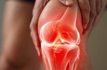 Collagène de type 2 : plus efficace pour les articulations que le type 1 ?