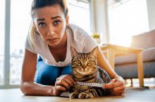 Comment faire maigrir son chat en toute sécurité : 6 conseils d&rsquo;une vétérinaire
