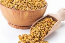 Fenugrec : quels sont ses vertus et bienfaits pour l’organisme ?