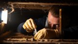 Hantavirus : gravité, symptômes et comment se protéger