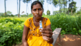 QDENGA en Inde : fonctionnement, efficacité et qui est éligible au vaccin