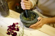 Cinq plantes anti-âge pour bien vieillir naturellement