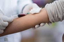 Quels sont la quantité et les rôles du sang dans le corps ?