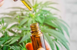 Comment choisir l’huile de CBD adaptée à vos besoins ?