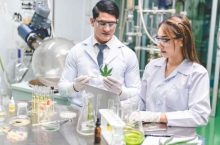 Le THCV : c&rsquo;est quoi cette nouvelle molécule dérivée du cannabis ?