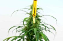 Zoom sur les bienfaits des huiles de CBD sur le stress et l’anxiété