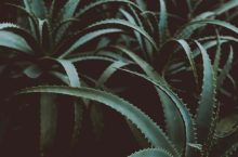 Quel avis faut-il se faire sur Naturo Concept ?