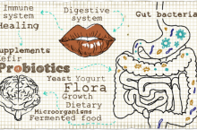 Probiotiques : quelles informations connaître sur ces bactéries extrêmement utiles à l’organisme ?