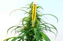 Comment améliorer son sommeil avec l’huile de CBD ?