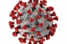 Peut-on éviter le coronavirus avec l’huile essentielle de Ravintsara ?